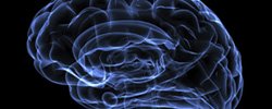 Деловой портал Иллюзии, заблуждения и мифы